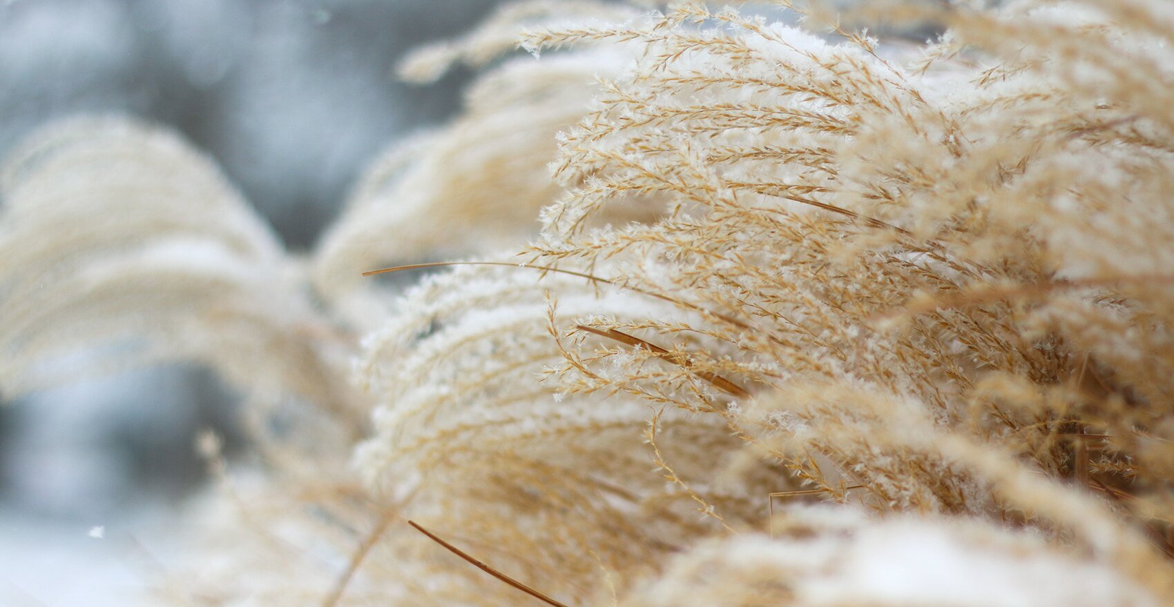 postpartum-mom-baby-winter